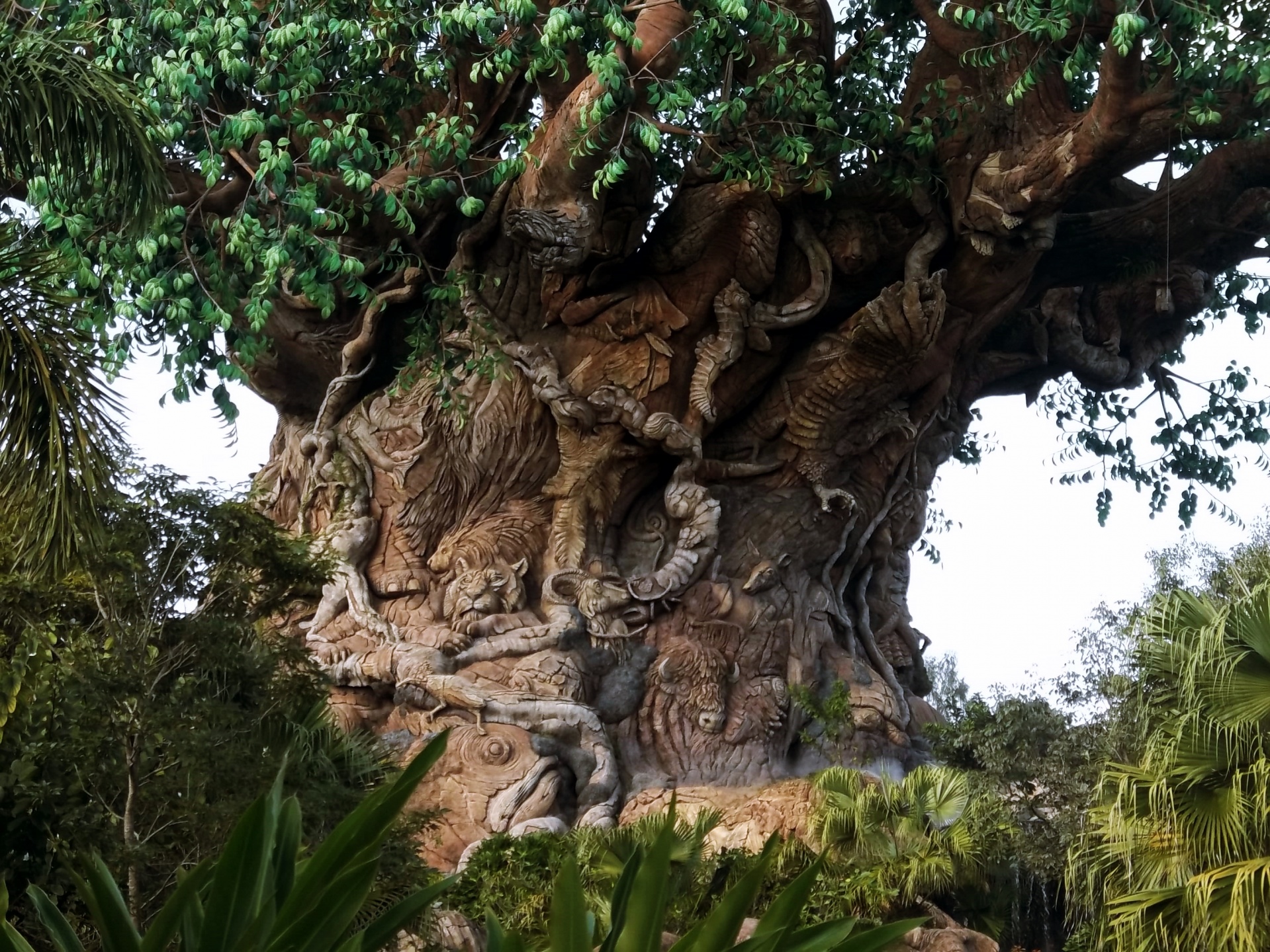 Animal tree. Курупай дерево. Жизненное дерево. Де́рево жи́зни. Дерево исполняющее желания.